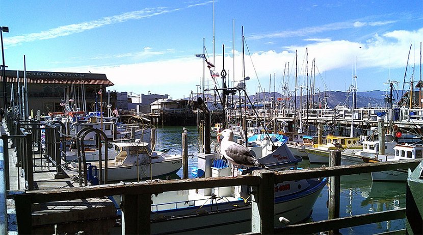 Fisherman Wharf_Marina